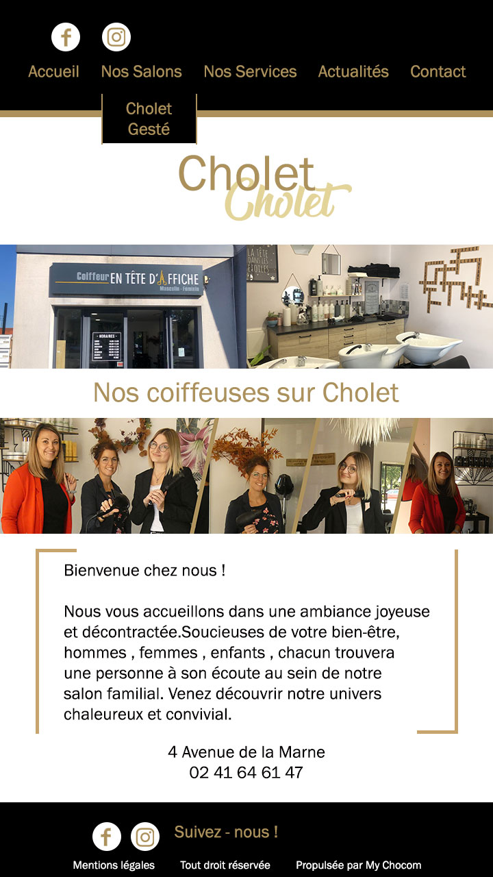 Version-1-site-Page-2-Cholet